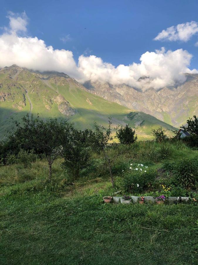 Mikheil Pitskhelauri Guest House Kazbegi Εξωτερικό φωτογραφία