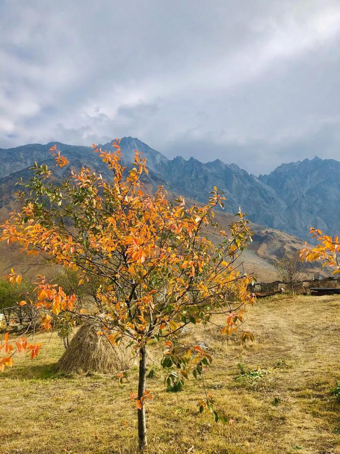 Mikheil Pitskhelauri Guest House Kazbegi Εξωτερικό φωτογραφία